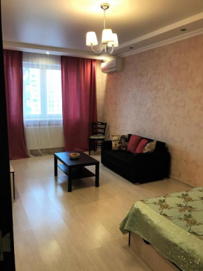 Apartment na Yubileynyy prospekt 66d, Khimki, Khimki